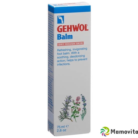 Gehwol Balsam Trockene Haut E/f Tube 75ml buy online