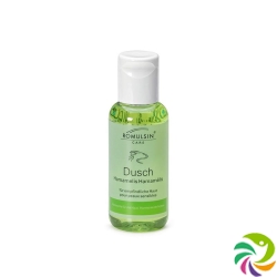 Romulsin Dusch Hamamelis Flasche 100ml