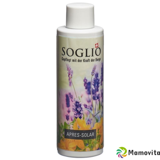 Soglio Apres Solar Gel Flasche 100ml buy online