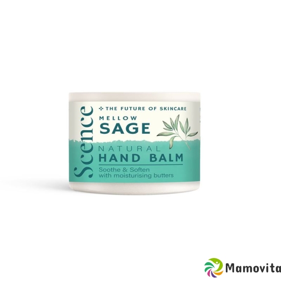 Scence Handbalsam Mellow Sage 40g buy online