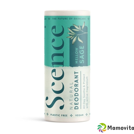 Scence Deo Balsam Mellow Sage 75g buy online