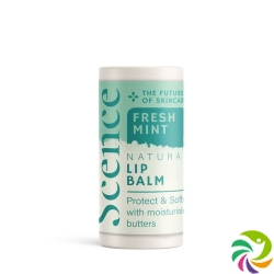 Scence Lippenbalsam Fresh Mint 8.5g