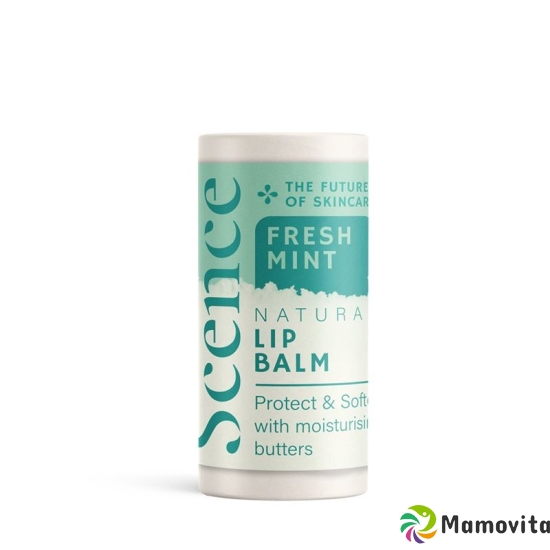 Scence Lippenbalsam Fresh Mint 8.5g buy online