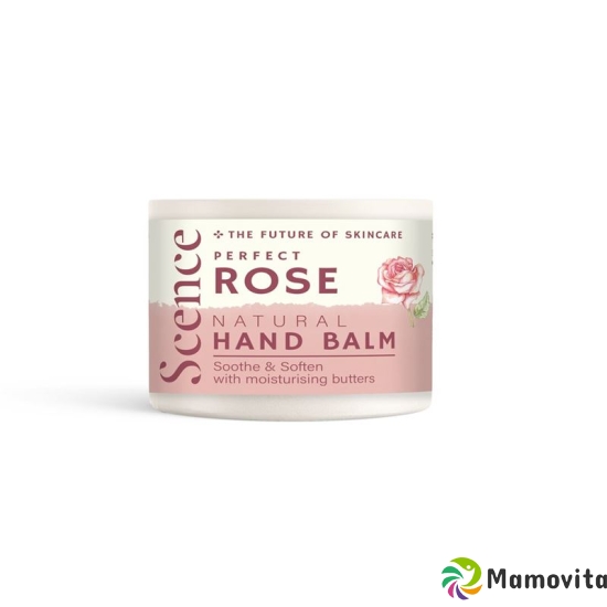 Scence Handbalsam Perfect Rose 40g buy online