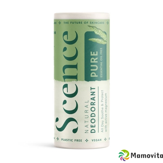 Scence Deo Balsam Pure 75g buy online