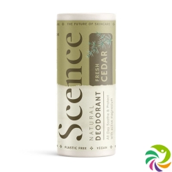 Scence Deo Balsam Fresh Cedar 75g