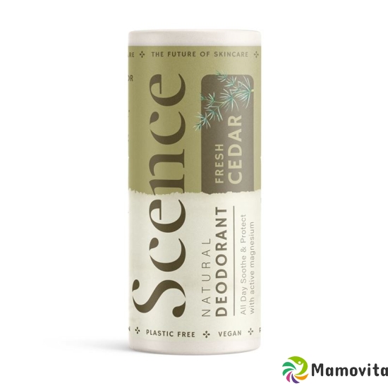 Scence Deo Balsam Fresh Cedar 75g buy online