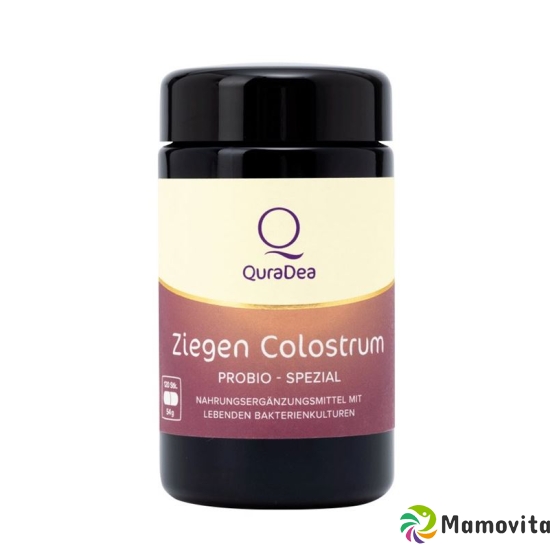 Quradea Ziegen Colostrum Probio Spezi Kapseln 120 Stück buy online