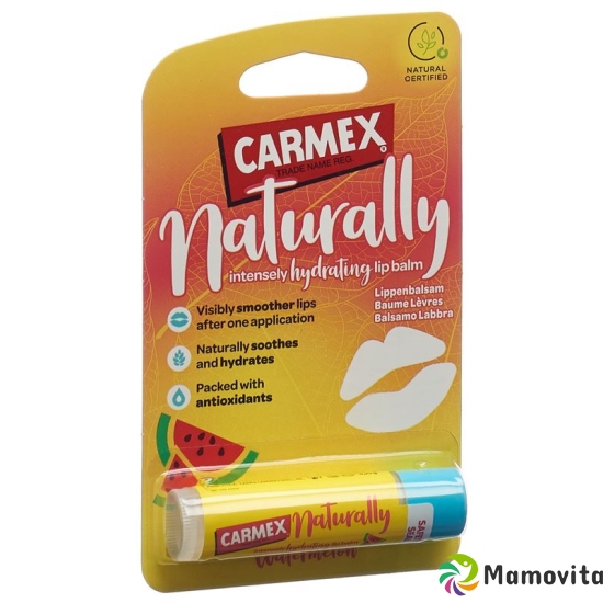 Carmex Lippenbalsam Naturally Waterme Stick 4.25g buy online