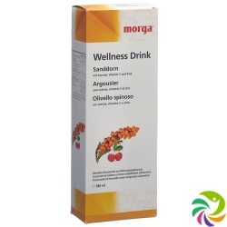 Morga Sanddorn Wellness Drink Flasche 380ml