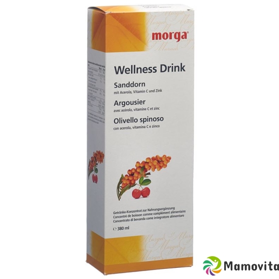 Morga Sanddorn Wellness Drink Flasche 380ml buy online