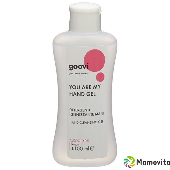 Goovi You Are My Hand Gel Handreinigungsgel 100ml buy online