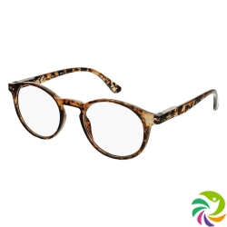 Invu reading glasses 2.50dpt B6161g