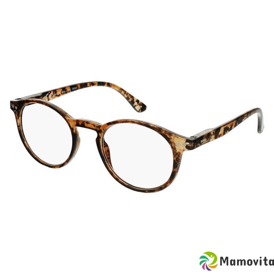 Invu reading glasses 2.50dpt B6161g buy online