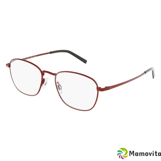 Invu reading glasses 3.50dpt B5103l buy online