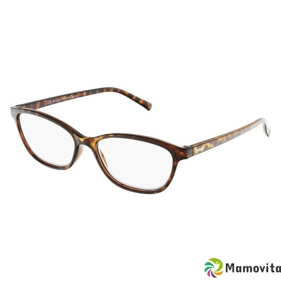 Invu reading glasses 2.50dpt B6105g buy online