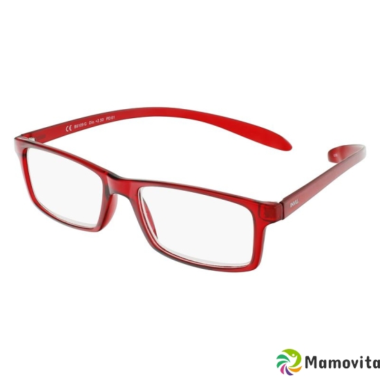 Invu reading glasses 2.00dpt B6109e buy online