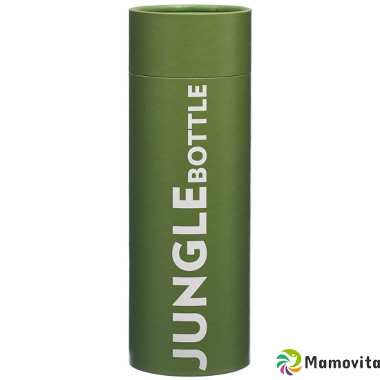 Revie Jungle Bottle 500ml buy online