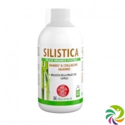 Holistica Silistica Silicium Pflanzlich Flasche 500ml