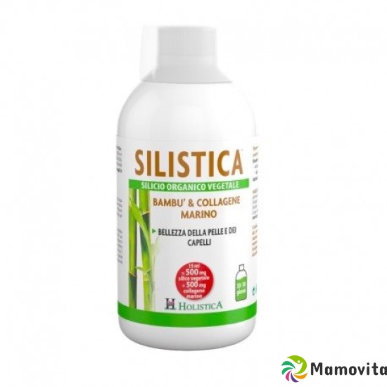 Holistica Silistica Silicium Pflanzlich Flasche 500ml buy online