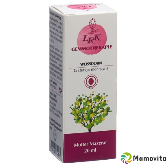 Lrk Mutter Mazerat Weissdorn Tropfen Flasche 20ml buy online