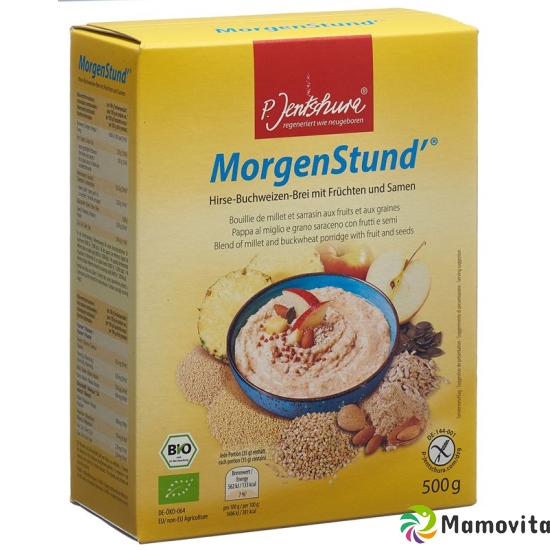 Jentschura Morgenstund' 500g buy online