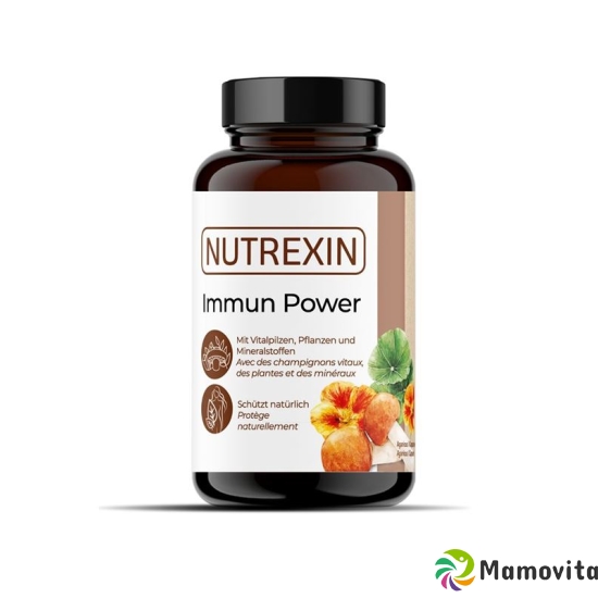 Nutrexin Immun Power Kapseln Dose 120 Stück buy online