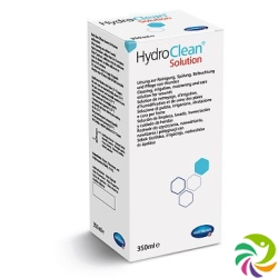 Hydroclean Solution Flasche 350ml