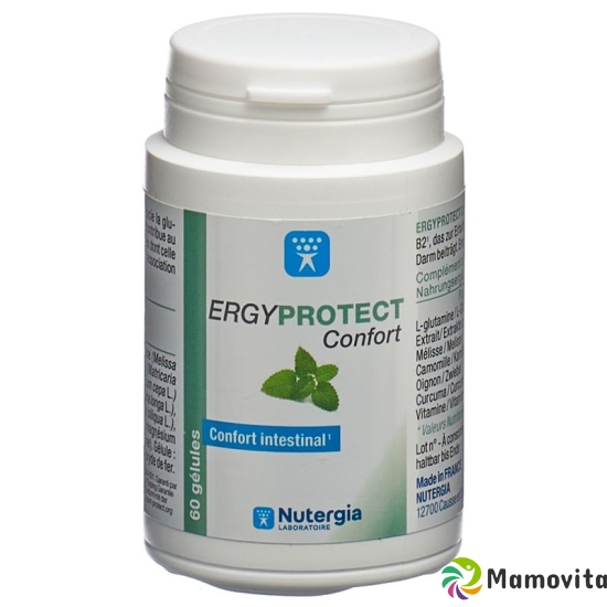 Nutergia Ergyprotect Confort Gelules Dose 60 Stück buy online