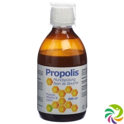 Propolis Mundspülung Flasche 300ml