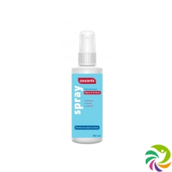 Assanis Desinfektionsspray Objekte&flächen 100ml