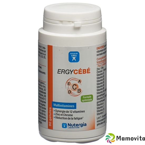 Nutergia Ergycebe Kapseln Dose 90 Stück buy online