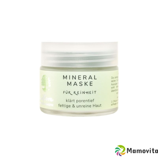 Liflore Mineral Maske Topf 50ml buy online