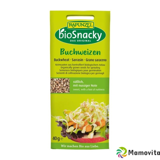 Rapunzel Buchweizen Biosnacky 40g buy online