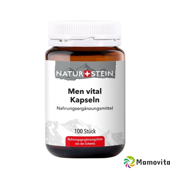 Naturstein Men Vital Kapseln Glasflasche 100 Stück buy online