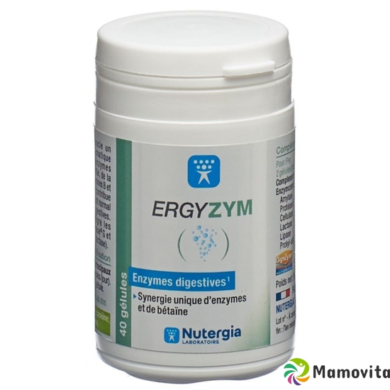 Nutergia Ergyzym Kapseln Dose 40 Stück buy online