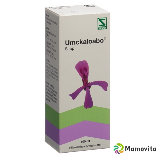 Umckaloabo Sirup Flasche 100ml buy online