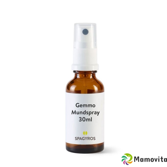 Spagyros Gemmo Vaccinium Myrti Glyc Maz D 1 30ml buy online