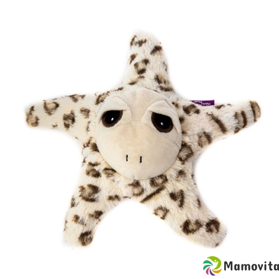 Habibi Plush Starfish buy online