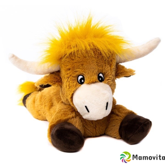 Habibi Plush Highland Cow Case Washable buy online