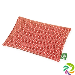 Sky green cherry pit cushion 30x20cm flower red