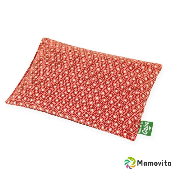 Sky green cherry pit cushion 30x20cm flower red buy online