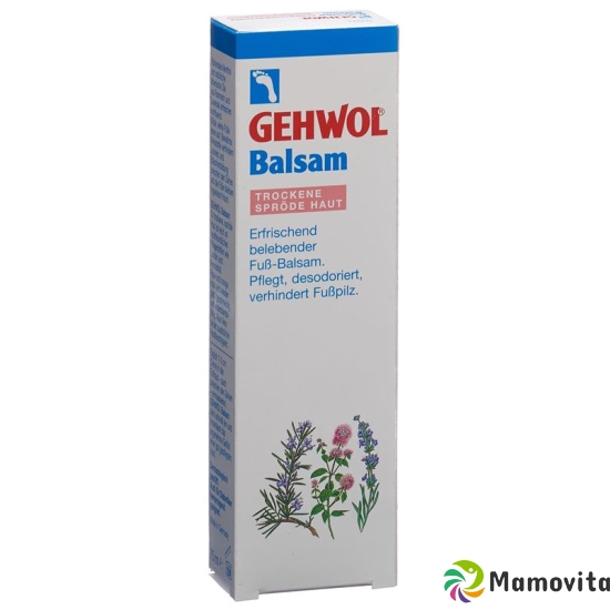 Gehwol Balsam Trockene Haut D/i Tube 75ml buy online