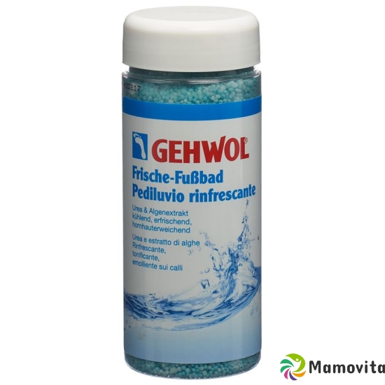 Gehwol Frische-Fussbad D/i Dose 330g buy online