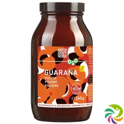 Naturkraftwerke Guarana Pulver Bio Glas 260g