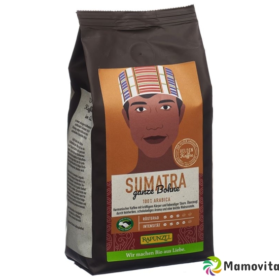 Rapunzel Heldenkaffee Sumatra Bio Beutel 250g buy online