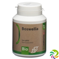 Bionaturis Boswellia Kapseln Bio Dose 90 Stück