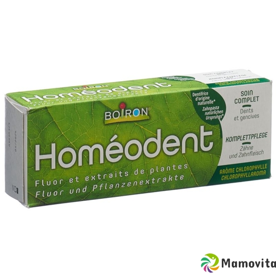 Homeodent Zahn Zahnfleischpflege Chlorophyll 75ml buy online