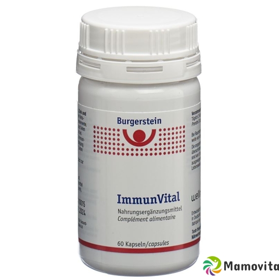 BURGERSTEIN ImmunVital capsules buy online