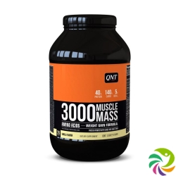 Qnt Muscle Mass 3000 Vanilla Dose 1.3kg